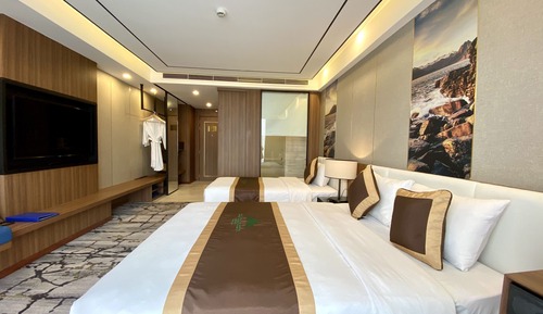 Habitación Deluxe con 1 cama doble o 2 individuales