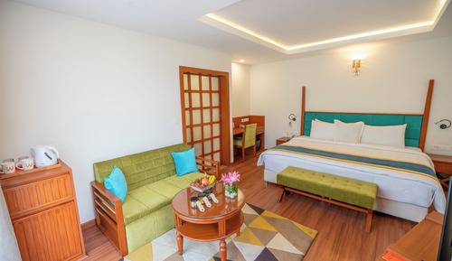 Habitación estándar, 1 cama de matrimonio grande