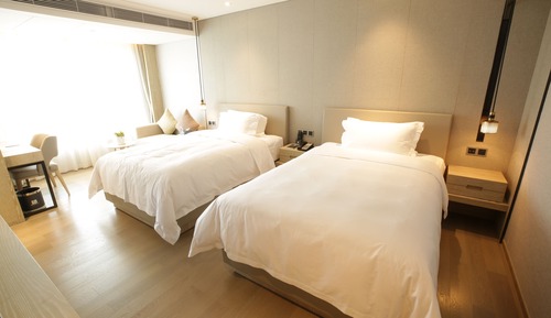 Habitación de lujo con 2 camas individuales