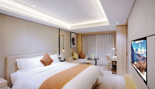 Habitación individual superior