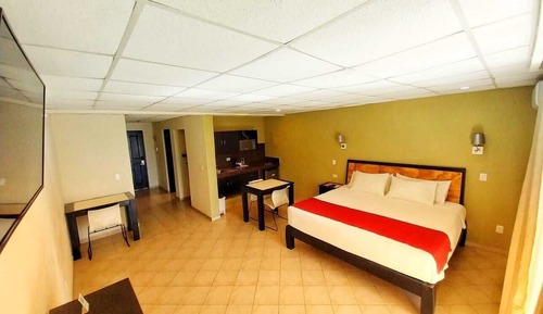 Suite junior