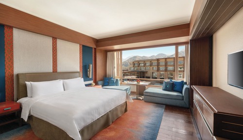 Habitación Premier, 1 cama de matrimonio grande