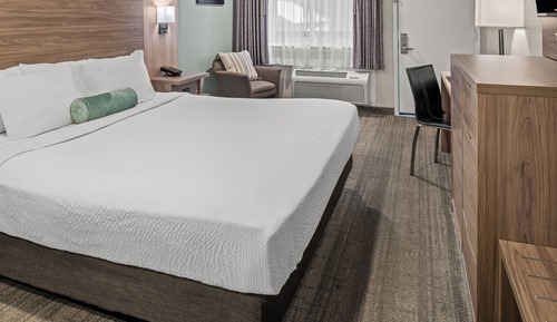 Habitación estándar, 1 cama de matrimonio grande