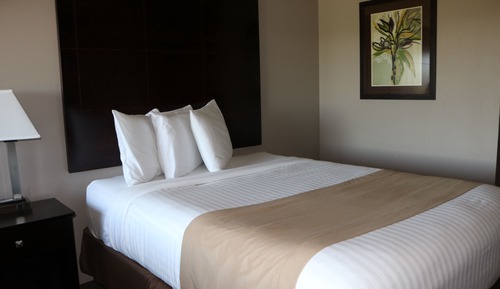 Habitación estándar, 1 cama de matrimonio grande