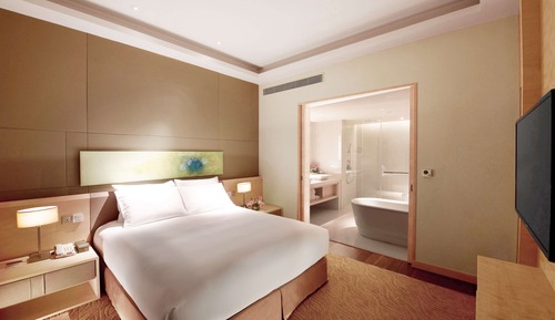 Suite presidencial, 1 cama de matrimonio grande