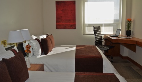 Room (Dog Friendly)