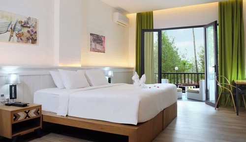 Habitación Deluxe (Premier)