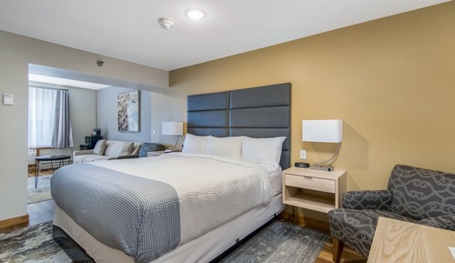 Suite junior, 1 cama de matrimonio grande con sofá cama