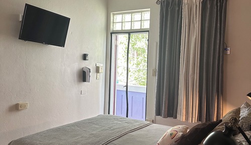 Estudio clásico, 1 cama de matrimonio