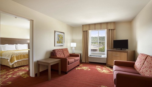 Suite, 1 cama de matrimonio grande, accesible para personas con discapacidad (One-Bedroom Suite)