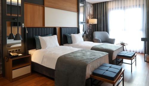 Habitación panorámica con 1 cama doble o 2 individuales