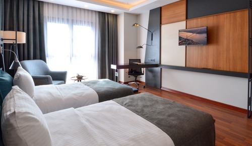Habitación estándar con 1 cama doble o 2 individuales