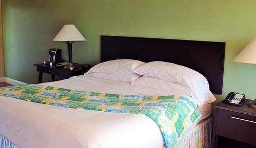 Habitación estándar, 1 cama de matrimonio grande