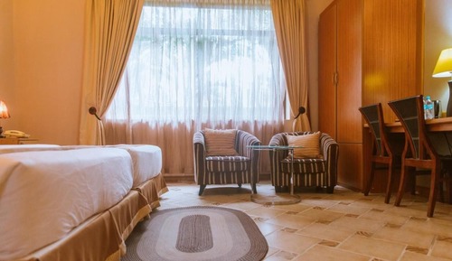 Suite estudio exclusiva, 1 cama doble, baño privado, vistas al jardín