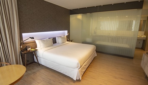 Suite estudio, 1 cama de matrimonio grande, no fumadores