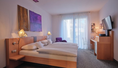 Habitación Confort doble (with garden access)
