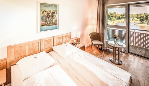 Habitación panorámica, 1 cama doble, vistas al lago