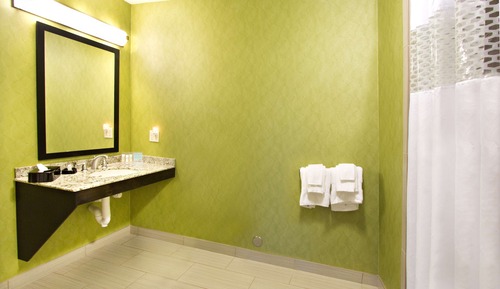 Estudio, 1 cama de matrimonio grande, accesible para personas con discapacidad (Mobility & Hearing)