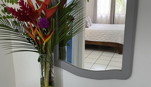 1 Queen Bed / Guest Room