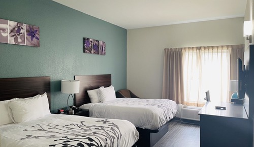 Habitación estándar, 1 cama de matrimonio, no fumadores
