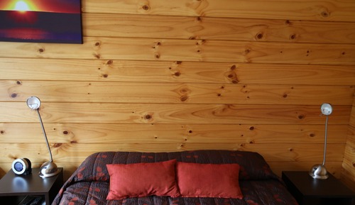 Casa en un árbol (Kamahi)