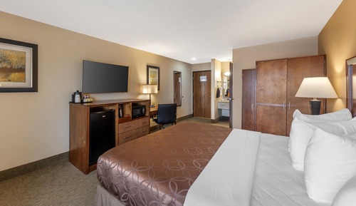 Habitación estándar, 1 cama de matrimonio grande, no fumadores, frigorífico y microondas