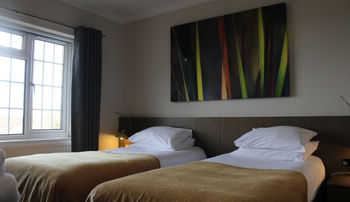 Habitación estándar con 1 cama doble o 2 individuales, 1 cama de matrimonio grande