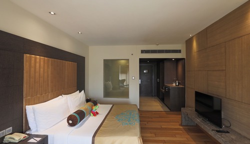 Habitación Premier, 1 cama de matrimonio grande