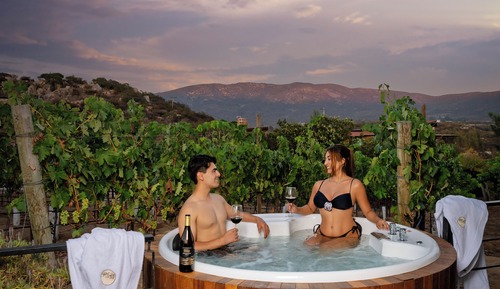 Suite estudio Deluxe, bañera de hidromasaje, vistas al jardín