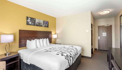 Habitación estándar, 1 cama de matrimonio grande, no fumadores