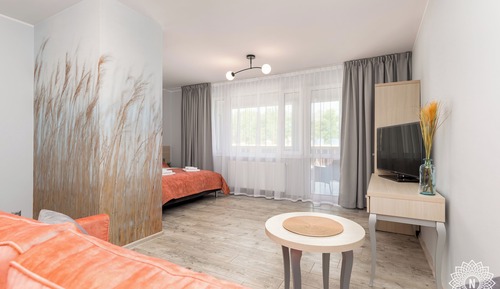 Suite estudio familiar