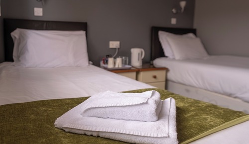 Standard Twin Room