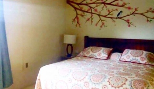 Habitación Confort