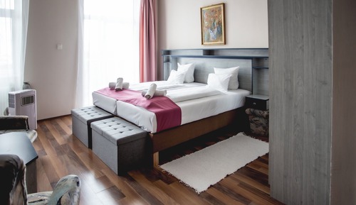Habitación Deluxe con 1 cama doble o 2 individuales