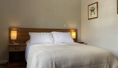Habitación estándar con 2 camas individuales, baño privado