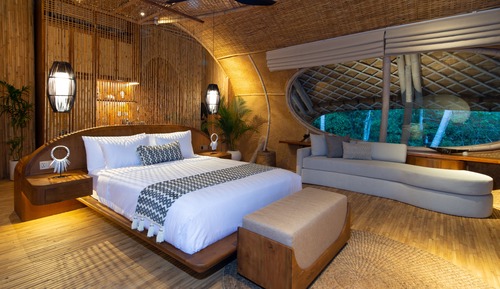 Cocoon Jungle