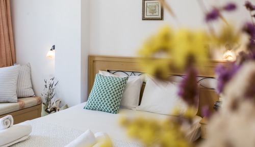 Habitación estándar con 1 cama doble o 2 individuales