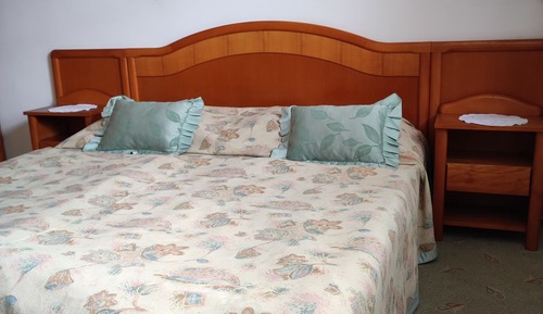 Habitación cuádruple familiar