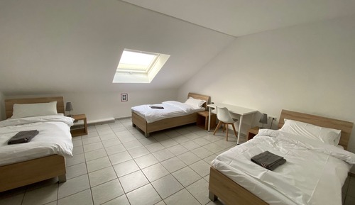 Habitación triple básica, 3 camas individuales, baño compartido