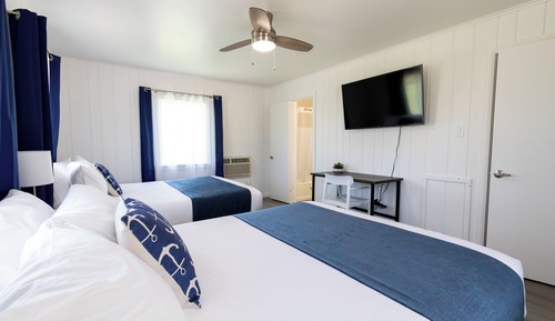 Suite Premium, 1 habitación