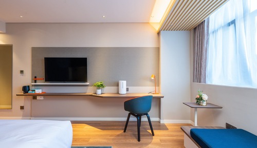 Habitación estándar, 1 cama de matrimonio grande (Air Purifier Humidifier)