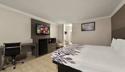 Habitación estándar, 1 cama de matrimonio grande, no fumadores