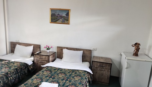 Habitación básica con 2 camas individuales