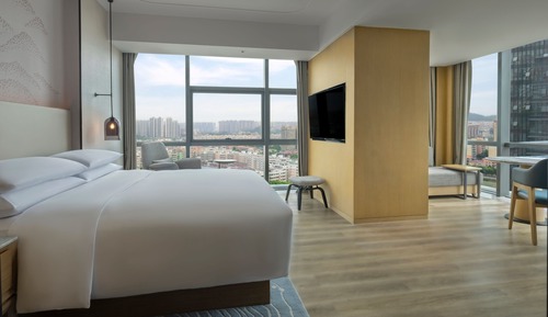 Suite Deluxe, 1 habitación, vistas a la ciudad