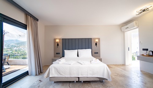 King Suite Room