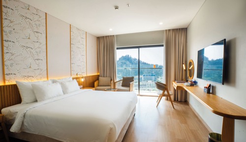 Habitación Deluxe con 1 cama doble o 2 individuales