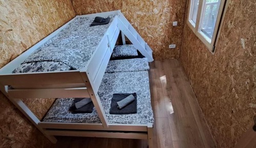 Casa en un árbol