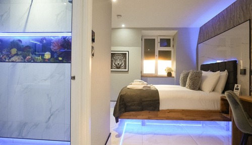 Habitación doble superior, baño privado, vistas a la ciudad