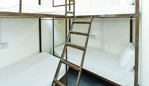 Shared Dormitory, Mixed Dorm