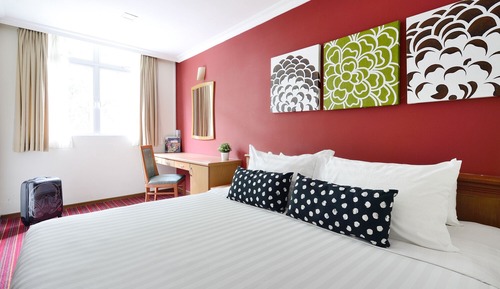 Suite estudio Premier